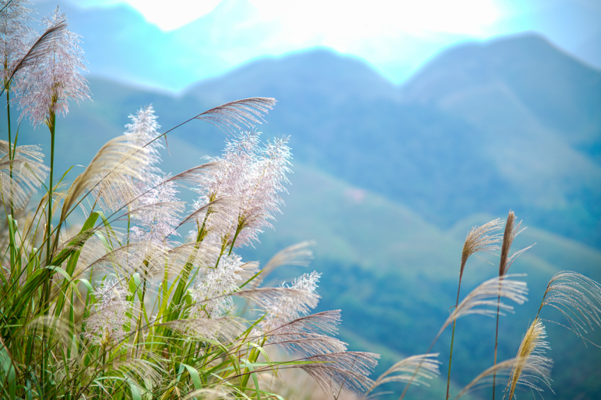 Nice mountain view in Binh Lieu district Quang Ninh province northern Vietnam